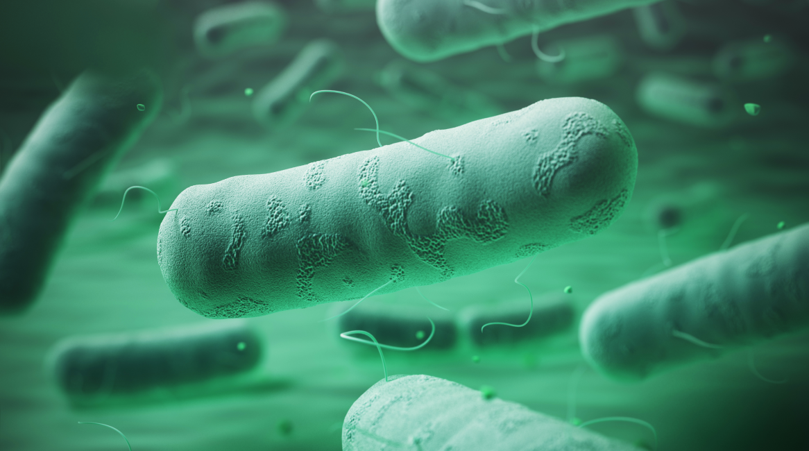 bacteries-probiotiques